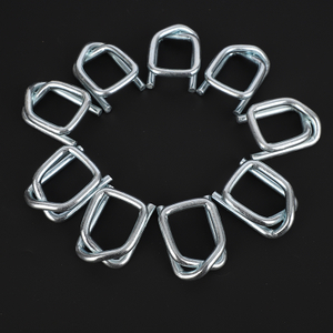 Steel Wire Buckle